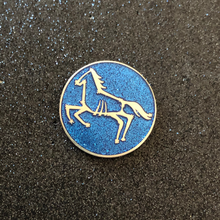 Dragon Age Astarium Pins